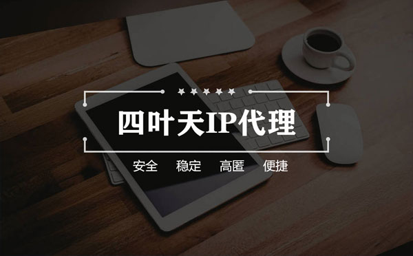 【连云港代理IP】如何快速搭建代理IP？怎么检查代理的效果？